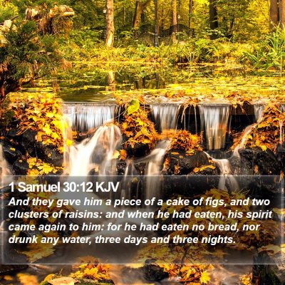 1 Samuel 30:12 KJV Bible Verse Image