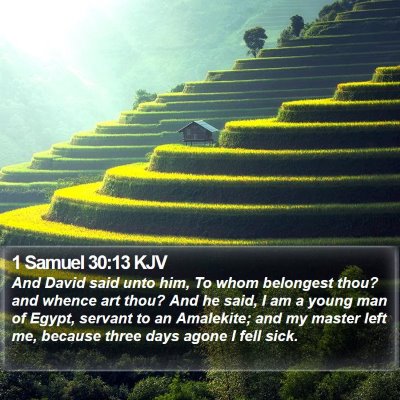 1 Samuel 30:13 KJV Bible Verse Image