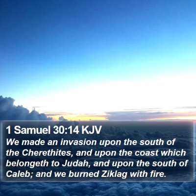 1 Samuel 30:14 KJV Bible Verse Image