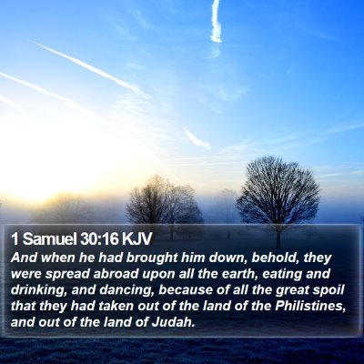 1 Samuel 30:16 KJV Bible Verse Image