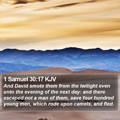 1 Samuel 30:17 KJV Bible Verse Image
