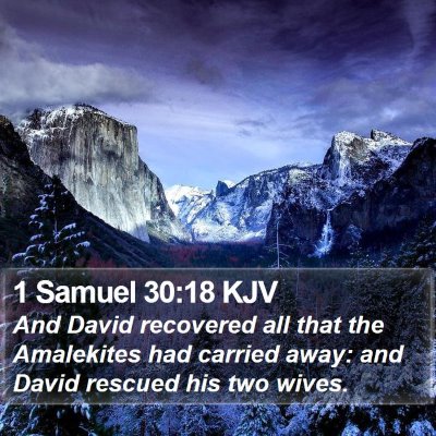 1 Samuel 30:18 KJV Bible Verse Image