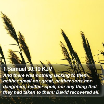 1 Samuel 30:19 KJV Bible Verse Image