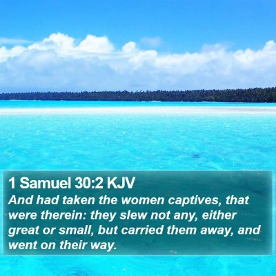1 Samuel 30:2 KJV Bible Verse Image