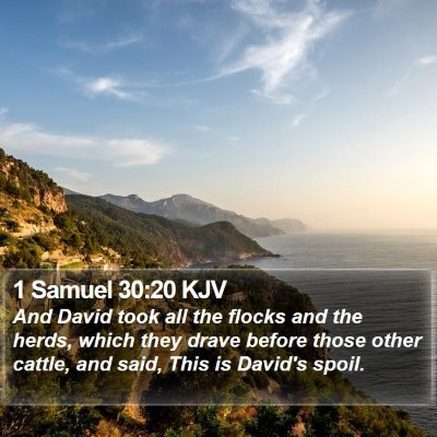 1 Samuel 30:20 KJV Bible Verse Image