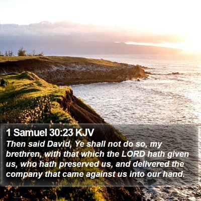 1 Samuel 30:23 KJV Bible Verse Image