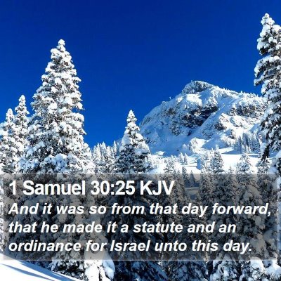 1 Samuel 30:25 KJV Bible Verse Image