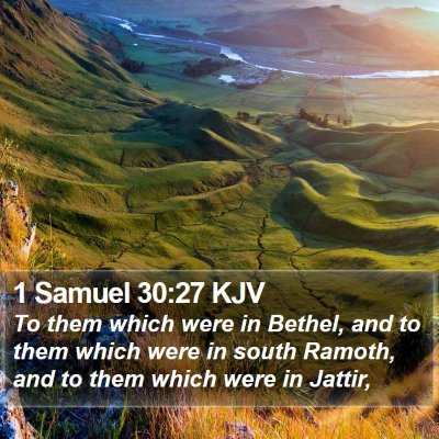 1 Samuel 30:27 KJV Bible Verse Image