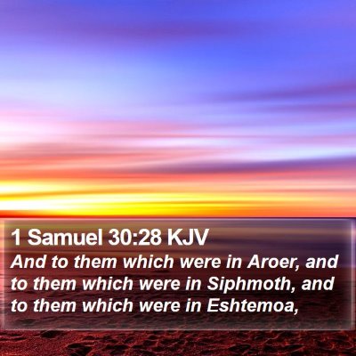 1 Samuel 30:28 KJV Bible Verse Image