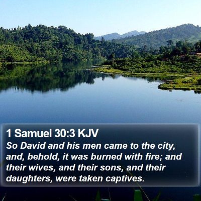 1 Samuel 30:3 KJV Bible Verse Image