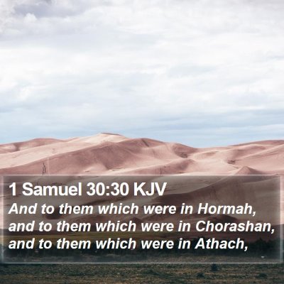 1 Samuel 30:30 KJV Bible Verse Image