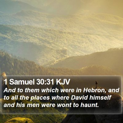 1 Samuel 30:31 KJV Bible Verse Image