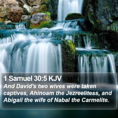 1 Samuel 30:5 KJV Bible Verse Image