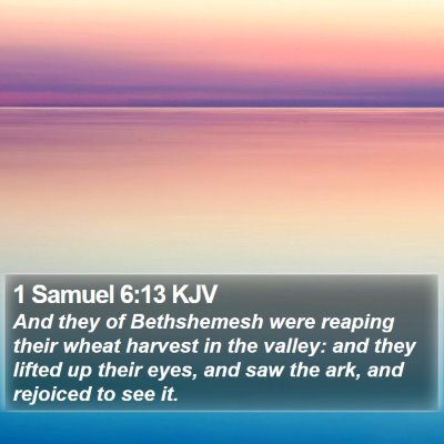 1 Samuel 6:13 KJV Bible Verse Image