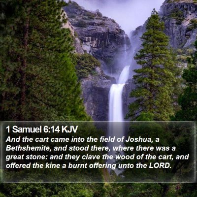 1 Samuel 6:14 KJV Bible Verse Image
