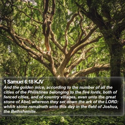 1 Samuel 6:18 KJV Bible Verse Image