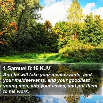1 Samuel 8:16 KJV Bible Verse Image