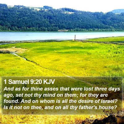 1 Samuel 9:20 KJV Bible Verse Image