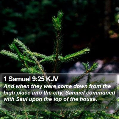 1 Samuel 9:25 KJV Bible Verse Image