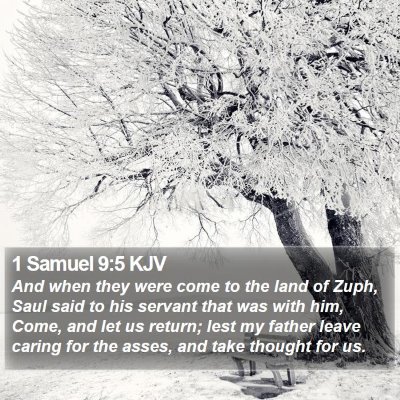 1 Samuel 9:5 KJV Bible Verse Image