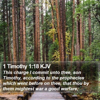 1 Timothy 1:18 KJV Bible Verse Image