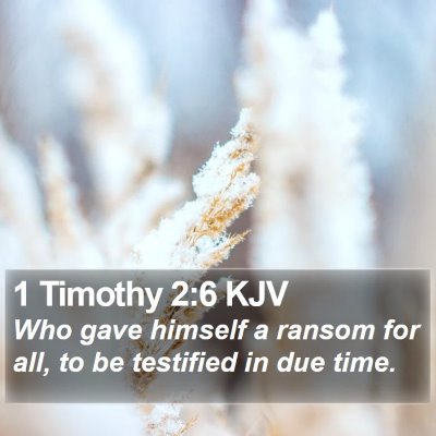 1 Timothy 2:6 KJV Bible Verse Image
