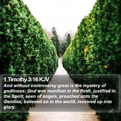 1 Timothy 3:16 KJV Bible Verse Image