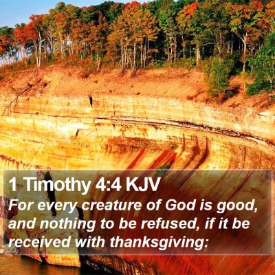 1 Timothy 4:4 KJV Bible Verse Image