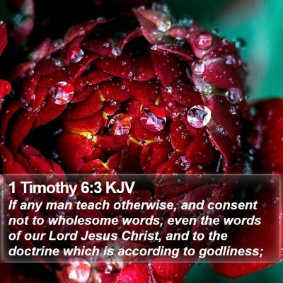 1 Timothy 6:3 KJV Bible Verse Image