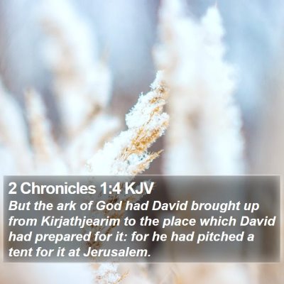 2 Chronicles 1:4 KJV Bible Verse Image