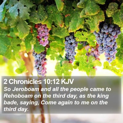 2 Chronicles 10:12 KJV Bible Verse Image