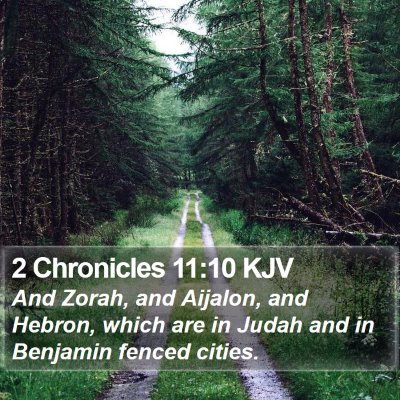 2 Chronicles 11:10 KJV Bible Verse Image