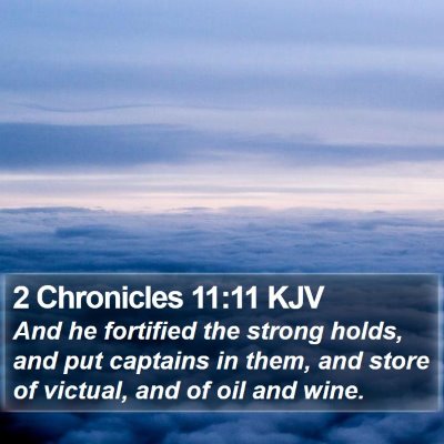 2 Chronicles 11:11 KJV Bible Verse Image
