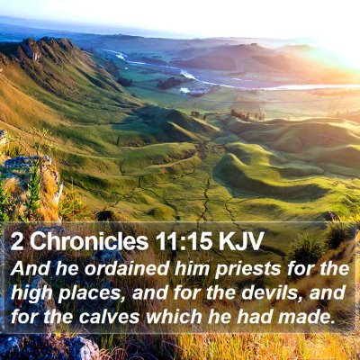 2 Chronicles 11:15 KJV Bible Verse Image