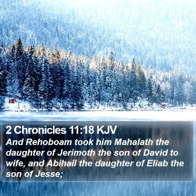 2 Chronicles 11:18 KJV Bible Verse Image