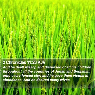 2 Chronicles 11:23 KJV Bible Verse Image