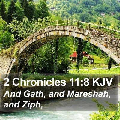 2 Chronicles 11:8 KJV Bible Verse Image