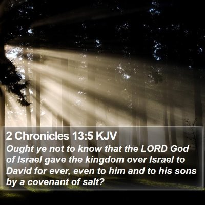 2 Chronicles 13:5 KJV Bible Verse Image