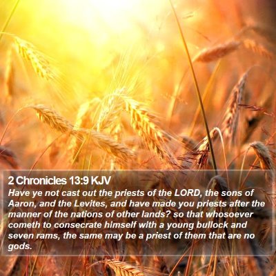 2 Chronicles 13:9 KJV Bible Verse Image