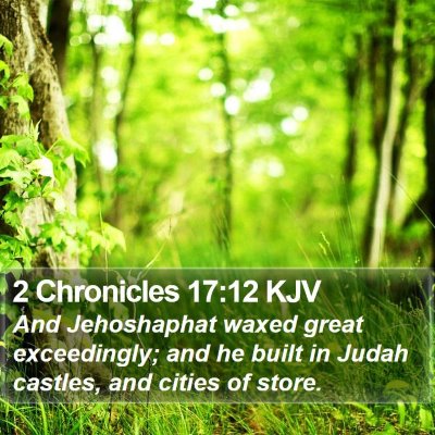 2 Chronicles 17:12 KJV Bible Verse Image
