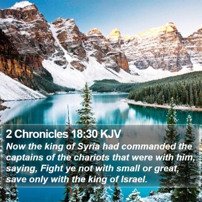 2 Chronicles 18:30 KJV Bible Verse Image