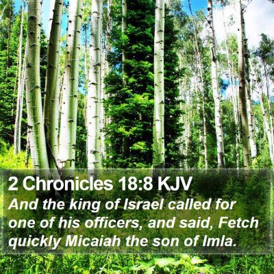 2 Chronicles 18:8 KJV Bible Verse Image