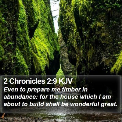 2 Chronicles 2:9 KJV Bible Verse Image