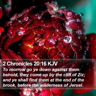 2 Chronicles 20:16 KJV Bible Verse Image