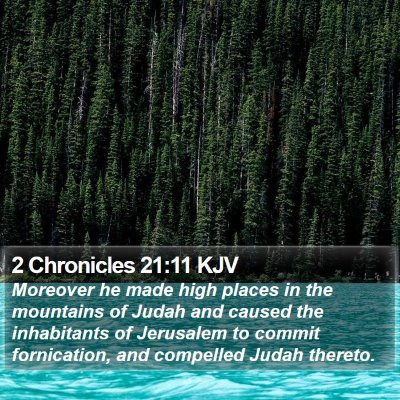 2 Chronicles 21:11 KJV Bible Verse Image