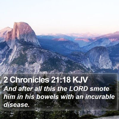 2 Chronicles 21:18 KJV Bible Verse Image