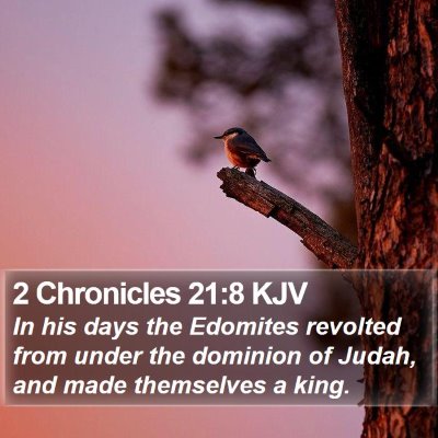 2 Chronicles 21:8 KJV Bible Verse Image