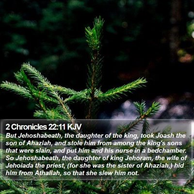 2 Chronicles 22:11 KJV Bible Verse Image