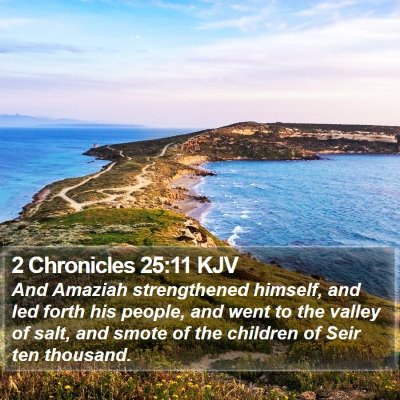 2 Chronicles 25:11 KJV Bible Verse Image