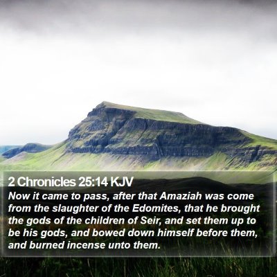 2 Chronicles 25:14 KJV Bible Verse Image